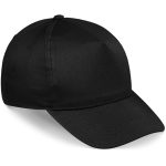 Alt Pic Bl 1024x1024.jpg