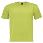 304546 Bright20lime.png