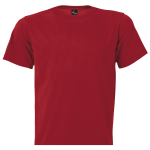 304546 Cherry20red.png